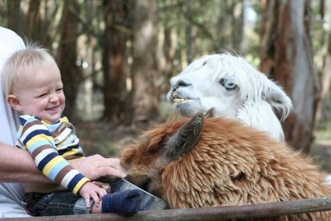 Margaret River Hideaway & Farmstay Luaran gambar