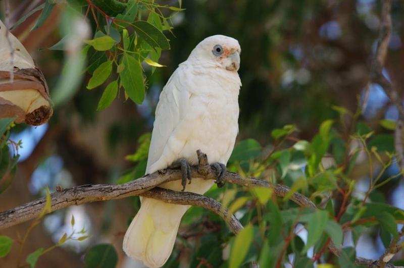 Margaret River Hideaway & Farmstay Luaran gambar